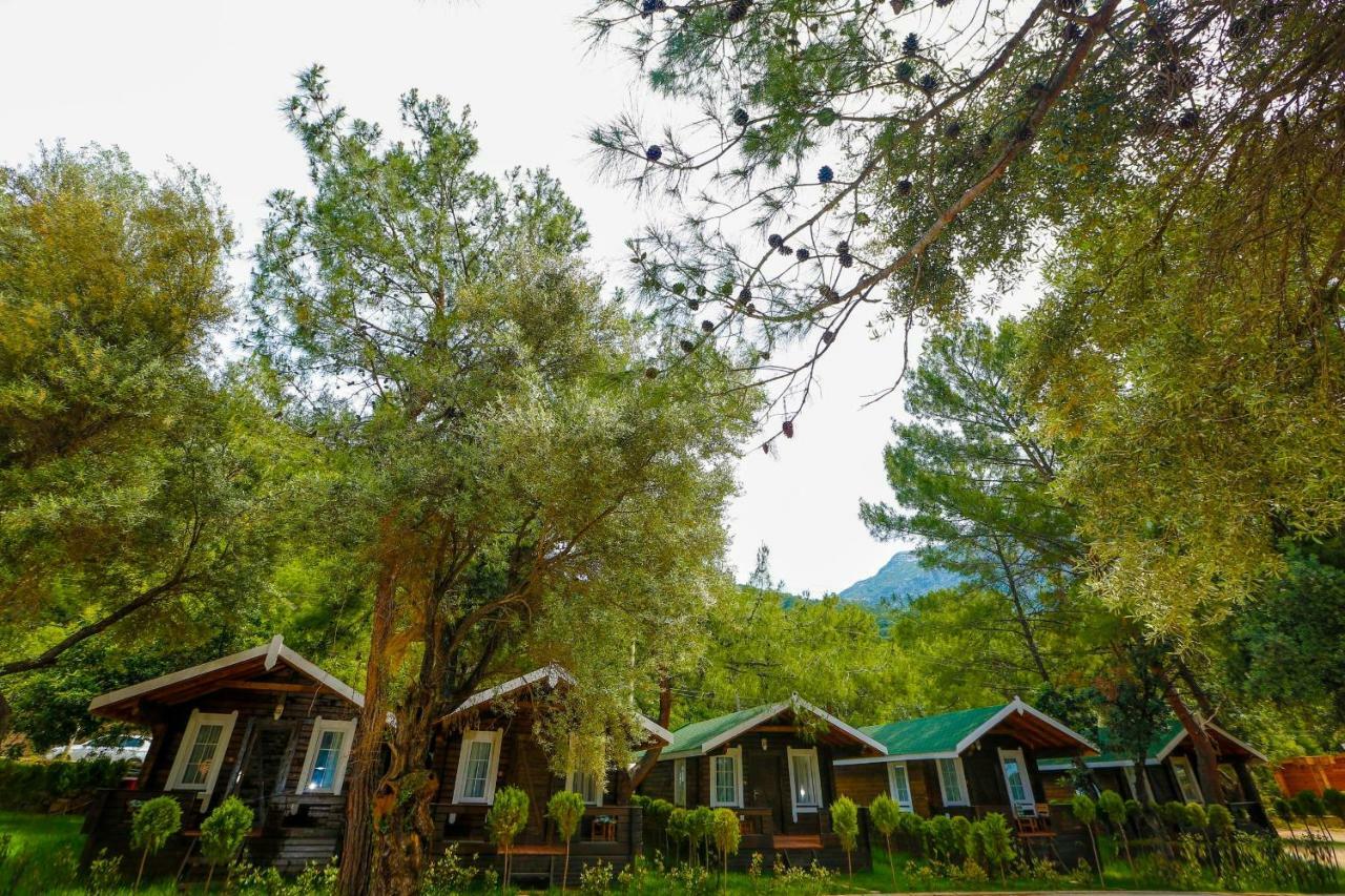 Green Pine Beach & Bungallows Hisaronu Extérieur photo